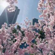 ヒメ日記 2025/03/31 11:49 投稿 あやな 人妻本舗愛のしずく名古屋店