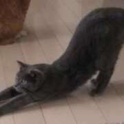 ヒメ日記 2025/06/17 12:05 投稿 あやな 人妻本舗愛のしずく名古屋店