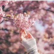 ヒメ日記 2026/04/06 13:39 投稿 あやな 人妻本舗愛のしずく名古屋店