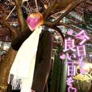 ヒメ日記 2026/01/20 10:21 投稿 ゆずき 人妻本舗愛のしずく名古屋店