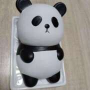 ヒメ日記 2026/02/11 15:42 投稿 ゆずき 人妻本舗愛のしずく名古屋店