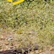 ヒメ日記 2026/03/28 12:04 投稿 ゆずき 人妻本舗愛のしずく名古屋店