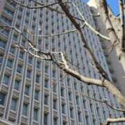 ヒメ日記 2025/02/25 17:26 投稿 あやめ 人妻本舗愛のしずく名古屋店