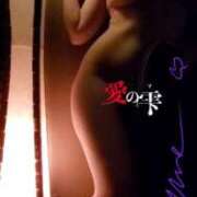 ヒメ日記 2025/04/11 18:28 投稿 あやめ 人妻本舗愛のしずく名古屋店