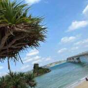 ヒメ日記 2025/08/24 07:30 投稿 あやめ 人妻本舗愛のしずく名古屋店