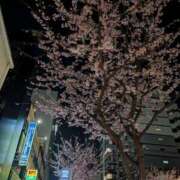 ヒメ日記 2026/03/21 00:15 投稿 あやめ 人妻本舗愛のしずく名古屋店