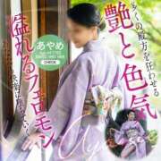 ヒメ日記 2026/07/17 14:44 投稿 あやめ 人妻本舗愛のしずく名古屋店