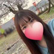 ヒメ日記 2026/04/09 19:46 投稿 なこ タレント倶楽部