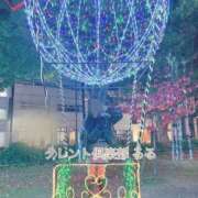 ヒメ日記 2024/12/09 12:28 投稿 るる タレント倶楽部