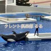 ヒメ日記 2025/03/04 12:06 投稿 るる タレント倶楽部