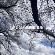 ヒメ日記 2025/04/02 12:06 投稿 るる タレント倶楽部