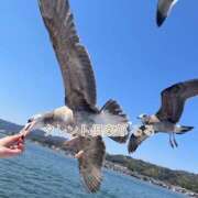 ヒメ日記 2025/04/04 12:08 投稿 るる タレント倶楽部