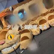 ヒメ日記 2025/04/16 12:06 投稿 るる タレント倶楽部