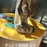 ヒメ日記 2025/05/14 12:06 投稿 るる タレント倶楽部