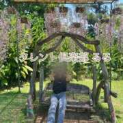 ヒメ日記 2025/05/15 12:06 投稿 るる タレント倶楽部