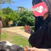 ヒメ日記 2025/05/16 12:06 投稿 るる タレント倶楽部