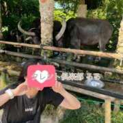 ヒメ日記 2025/05/19 12:06 投稿 るる タレント倶楽部