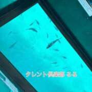 ヒメ日記 2025/05/20 12:06 投稿 るる タレント倶楽部