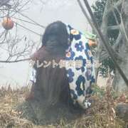 ヒメ日記 2026/03/05 12:06 投稿 るる タレント倶楽部