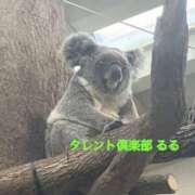 ヒメ日記 2026/03/06 12:08 投稿 るる タレント倶楽部