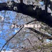 ヒメ日記 2026/04/13 12:08 投稿 るる タレント倶楽部