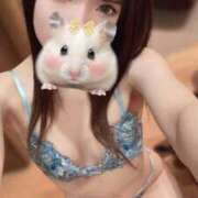 ヒメ日記 2026/02/21 12:18 投稿 蘭-ran- 宝石箱(すすきの)