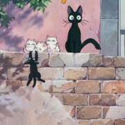 ヒメ日記 2025/11/24 08:10 投稿 あや 桃色奥様 松戸本店