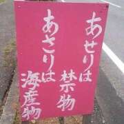 ヒメ日記 2026/02/07 10:04 投稿 あや 桃色奥様 松戸本店