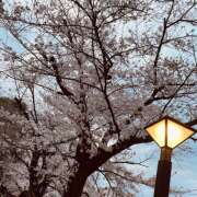 ヒメ日記 2025/03/31 10:20 投稿 なつき プレイガール(亀有)