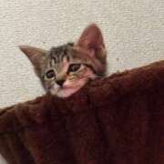 なつき おひさ🐣 プレイガール(亀有)