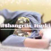 ヒメ日記 2025/03/19 19:33 投稿 いつき タレント倶楽部シャングリラ