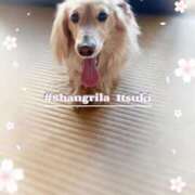 ヒメ日記 2025/03/23 21:04 投稿 いつき タレント倶楽部シャングリラ