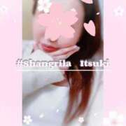 ヒメ日記 2025/04/14 02:38 投稿 いつき タレント倶楽部シャングリラ