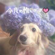 ヒメ日記 2025/06/15 05:06 投稿 いつき タレント倶楽部シャングリラ