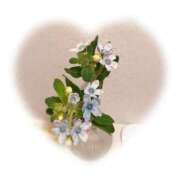 ヒメ日記 2025/10/25 14:42 投稿 いつき タレント倶楽部シャングリラ