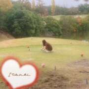 ヒメ日記 2025/11/15 17:45 投稿 いつき タレント倶楽部シャングリラ