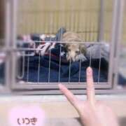 ヒメ日記 2026/01/06 02:41 投稿 いつき タレント倶楽部シャングリラ