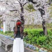 ヒメ日記 2026/04/04 16:52 投稿 まりこ タレント倶楽部Around40