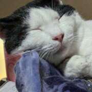 ヒメ日記 2025/01/09 03:44 投稿 しおり タレント倶楽部Around40