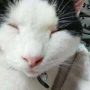 ヒメ日記 2025/04/14 03:50 投稿 しおり タレント倶楽部Around40