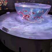 ヒメ日記 2025/07/18 18:58 投稿 しおり タレント倶楽部Around40