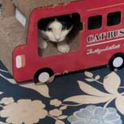 ヒメ日記 2025/10/11 12:50 投稿 しおり タレント倶楽部Around40