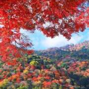 ヒメ日記 2024/12/19 20:28 投稿 あすか タレント倶楽部Around40