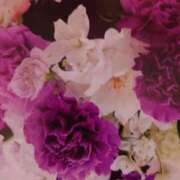 ヒメ日記 2024/12/24 10:44 投稿 あすか タレント倶楽部Around40