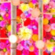 ヒメ日記 2024/12/31 09:56 投稿 あすか タレント倶楽部Around40