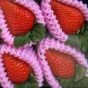 ヒメ日記 2024/12/31 10:50 投稿 あすか タレント倶楽部Around40