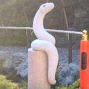 ヒメ日記 2025/01/15 21:12 投稿 あすか タレント倶楽部Around40