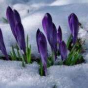 ヒメ日記 2025/01/20 19:26 投稿 あすか タレント倶楽部Around40