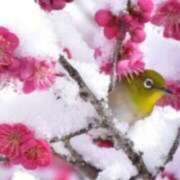 ヒメ日記 2025/02/05 19:32 投稿 あすか タレント倶楽部Around40