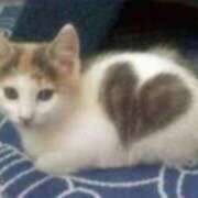 ヒメ日記 2025/02/22 23:40 投稿 あすか タレント倶楽部Around40